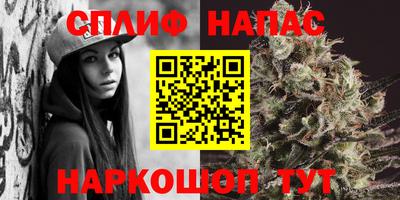 спиды Донской