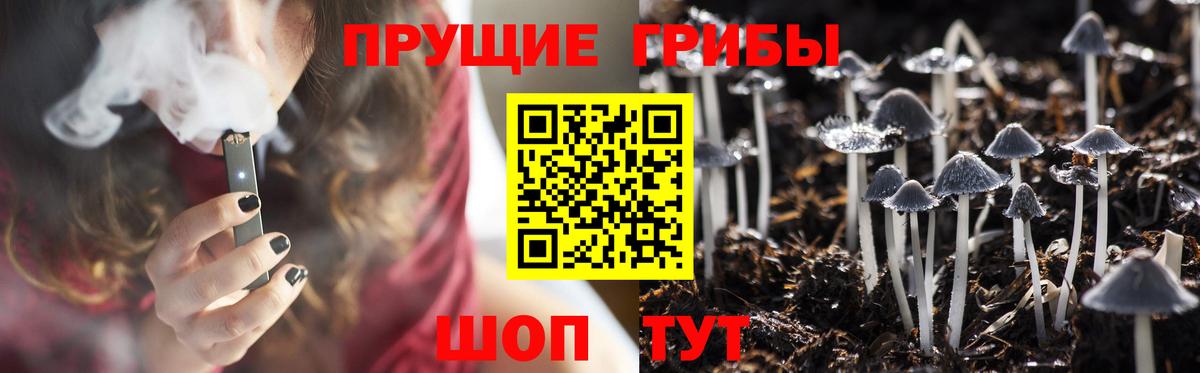 Псилоцибиновые грибы Psilocybe  Вход с VPN  Псилоцибиновые грибы MAGIC MUSHROOMS  Назрань 